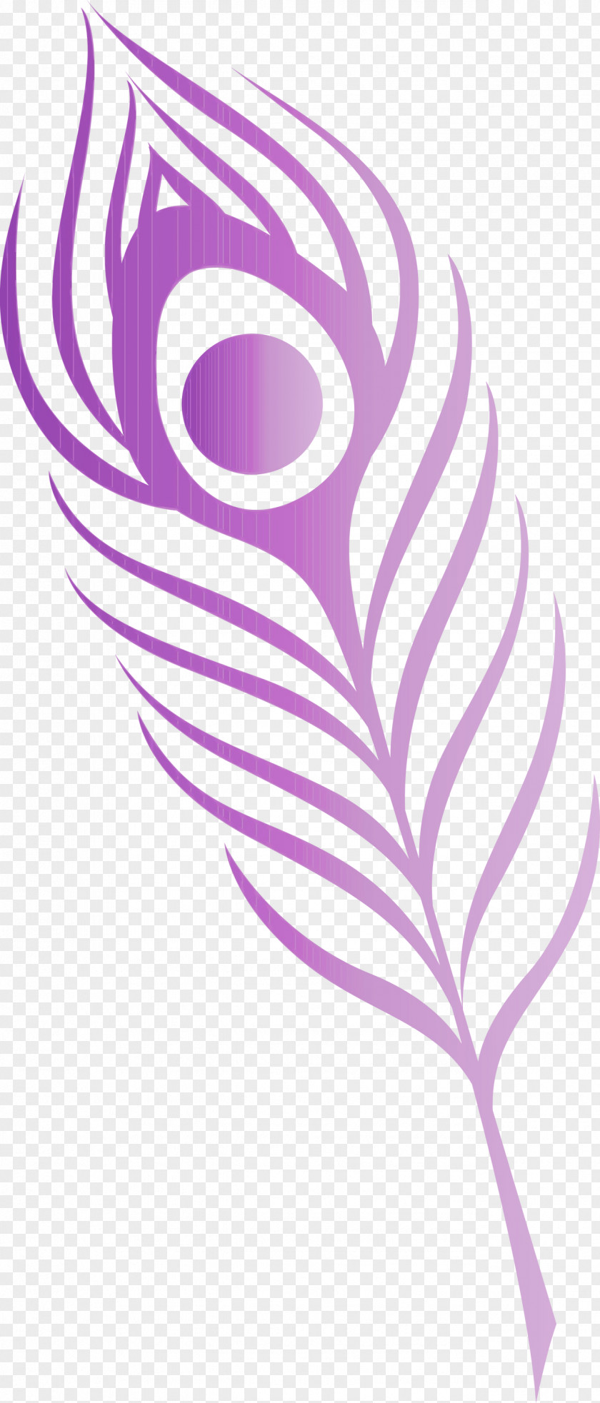 Feather PNG