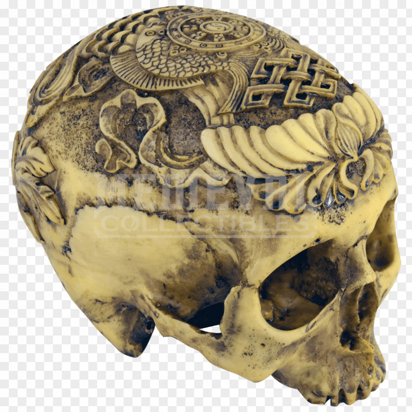 Hand-painted Skull Human Bone Head Wood Carving PNG