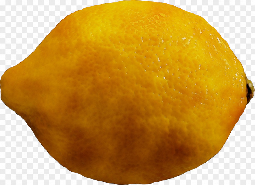 Lemon Citron PNG
