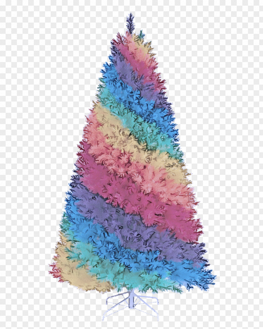 Pine Family Conifer Christmas Tree PNG