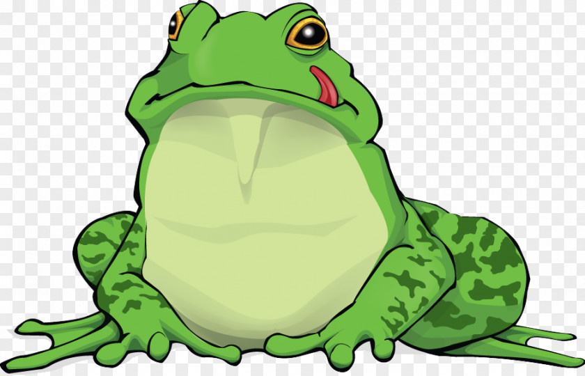 Amphibian Free Download True Frog Clip Art PNG
