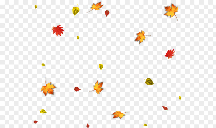 Autumn Leaves Falling Leaf Clip Art PNG