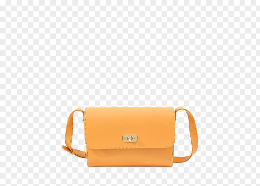 Bag Handbag Leather Beige Messenger Bags PNG