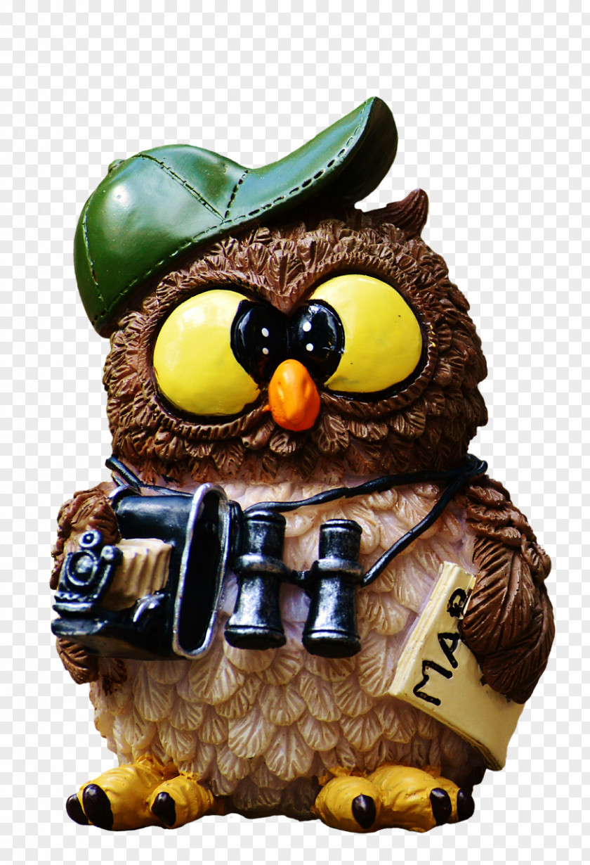Binoculars Desktop Wallpaper Owl Image Photograph PNG
