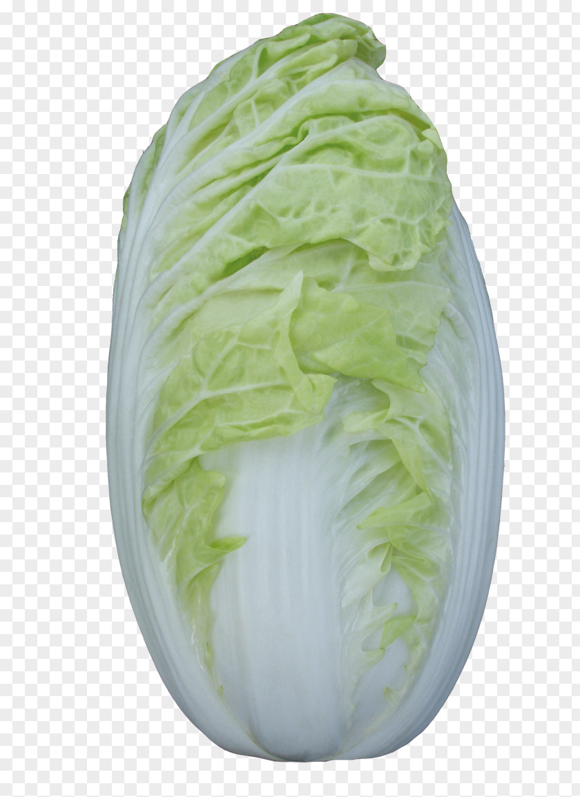 Cabbage Red Vegetable Chinese Napa PNG
