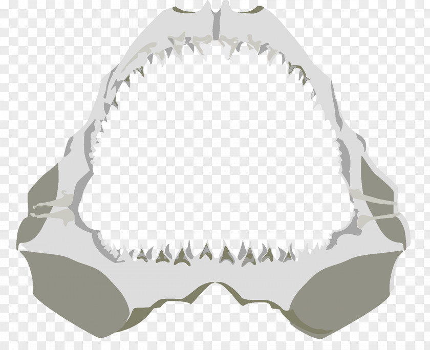 Design Jaw Angle PNG