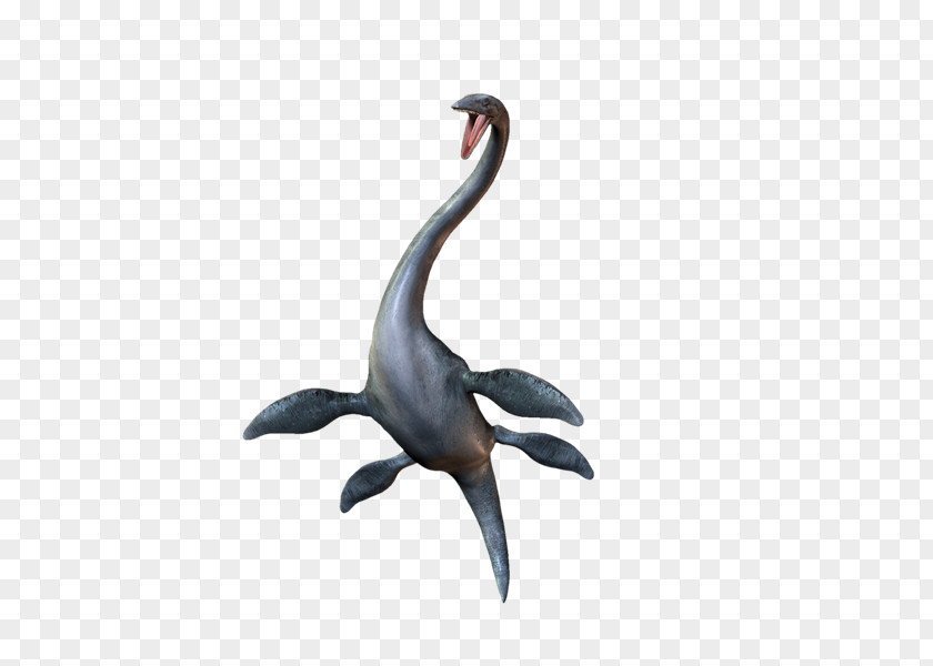 Dinosaurs PhotoScape Bird GIMP Fauna PNG