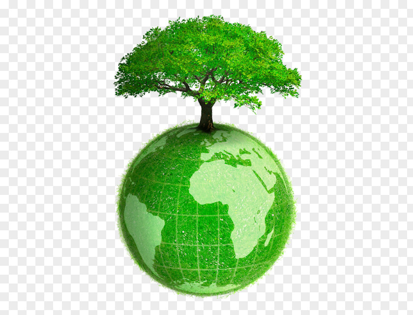 Earth /m/02j71 Tree Green PNG