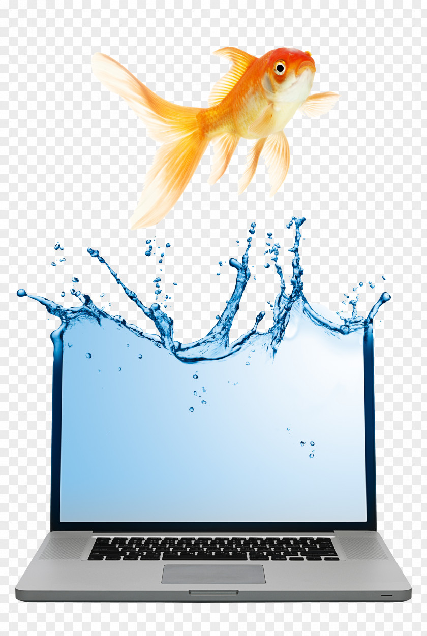 Goldfish And Laptop Advertising Notebook Business Marketing PNG
