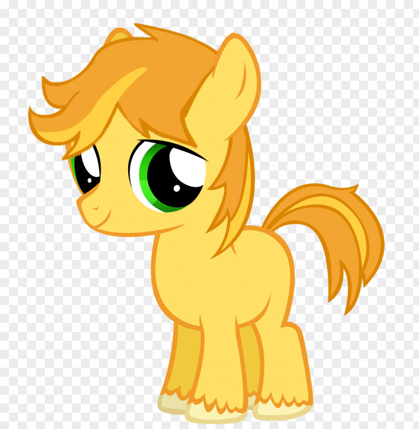 Colts My Little Pony Filly Rarity Rainbow Dash PNG