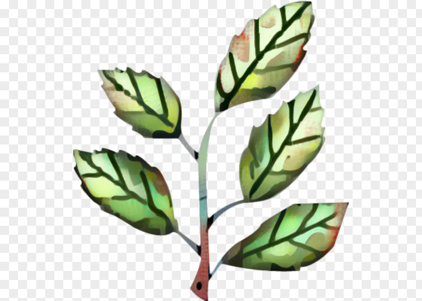 Plant Flower Leaf Branch PNG