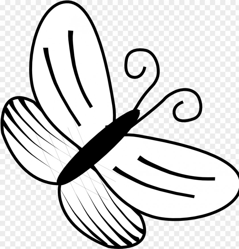 Plant Leaf Line Art White Coloring Book Black-and-white Wing PNG