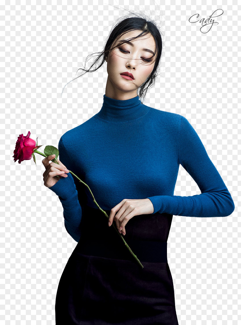 Sheng Yi Xing Rong Hye-rim Park Model Harper's Bazaar Photography Fashion PNG