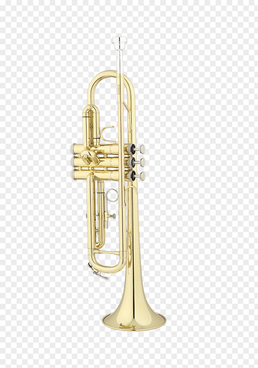 Trumpet Flugelhorn Wind Instrument Musical Instruments Brass PNG