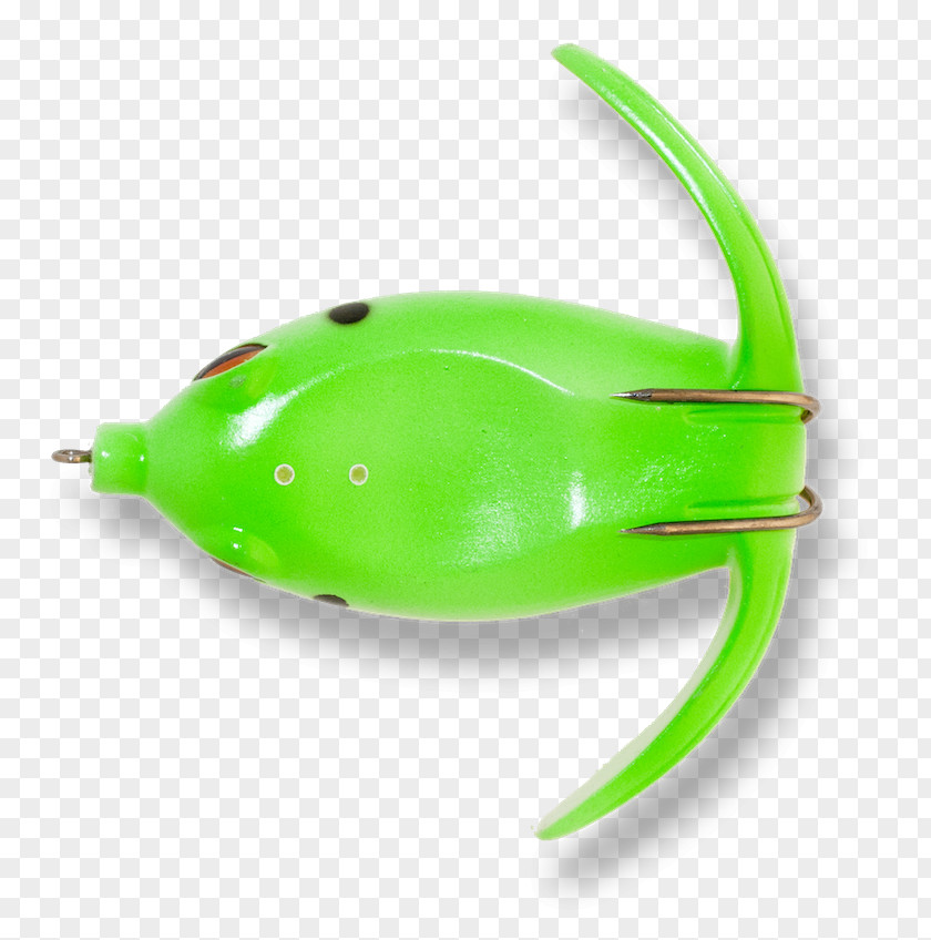 Amphibian Green PNG