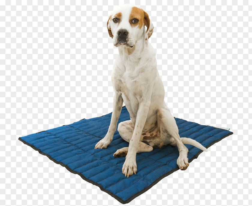 Dog Blue Carpet Beslist.nl Kerchief PNG