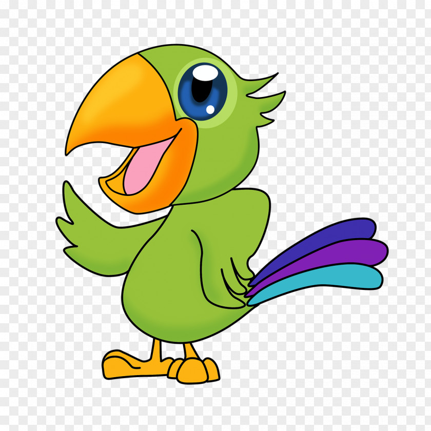 Parrot Macaw Drawing Image Stock.xchng PNG