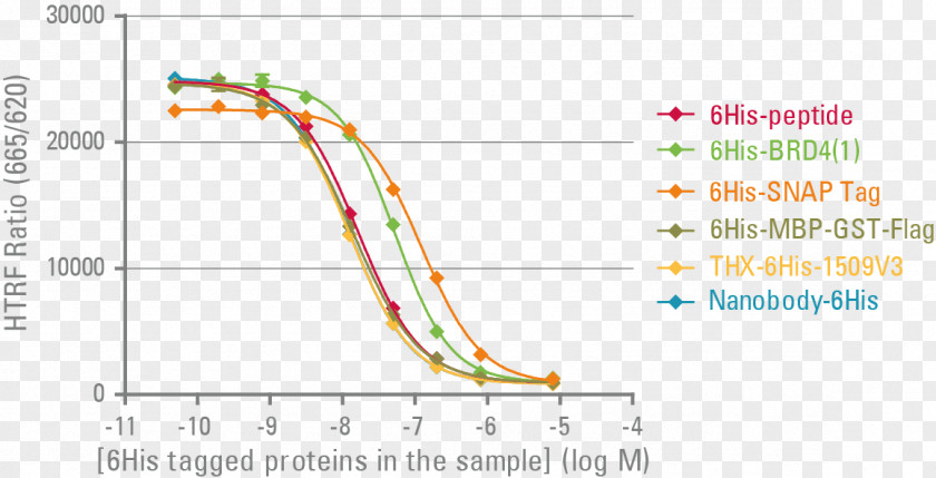 Protein Tag Polyhistidine-tag FLAG-tag Glutathione S-transferase PNG