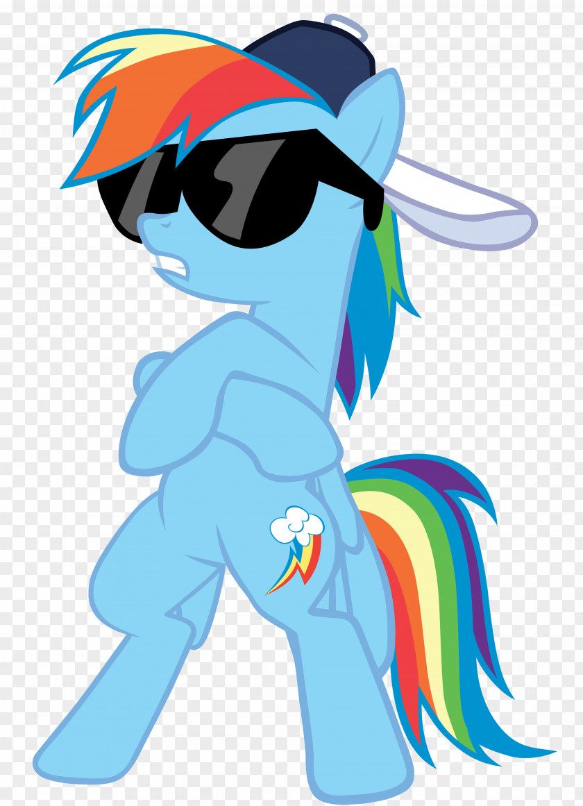 Rainbow Dash Pony Derpy Hooves PNG