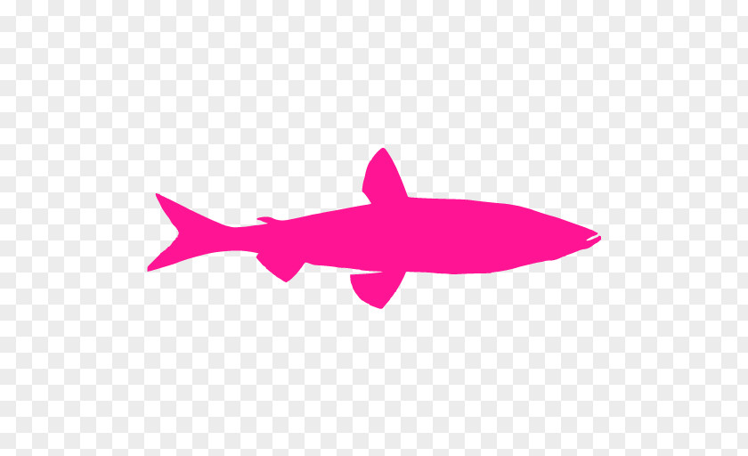 Shark Clip Art PNG