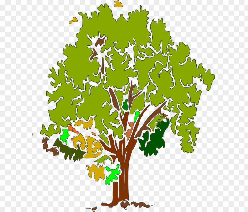 Tree Branch Clip Art PNG