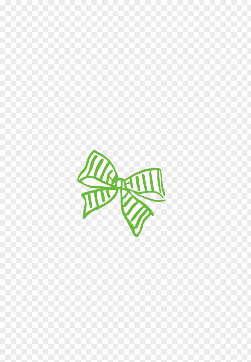 Bow Tie Shoelace Knot PNG