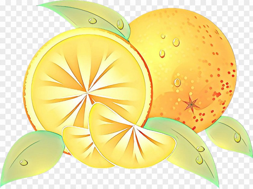 Citrus Plant Cartoon Lemon PNG