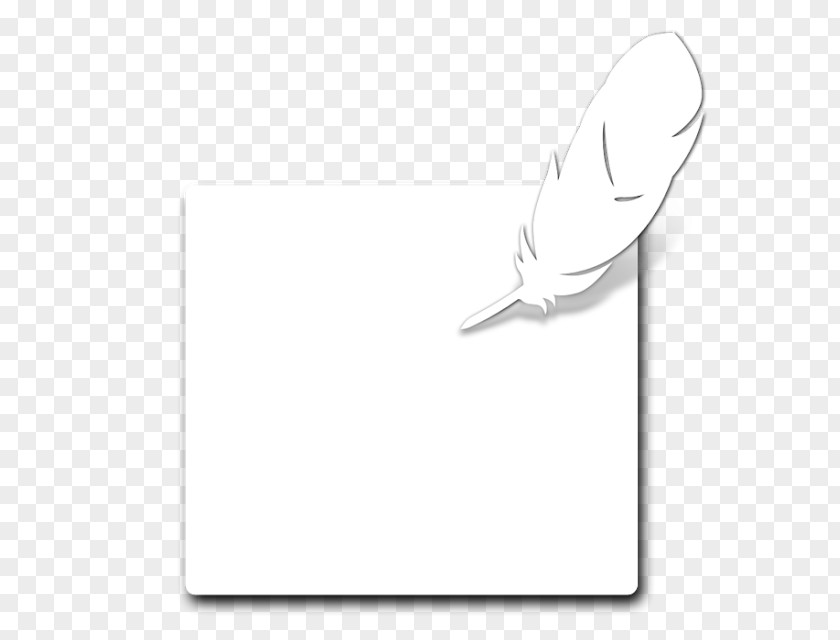 Class Room Bird Paper Feather Material PNG