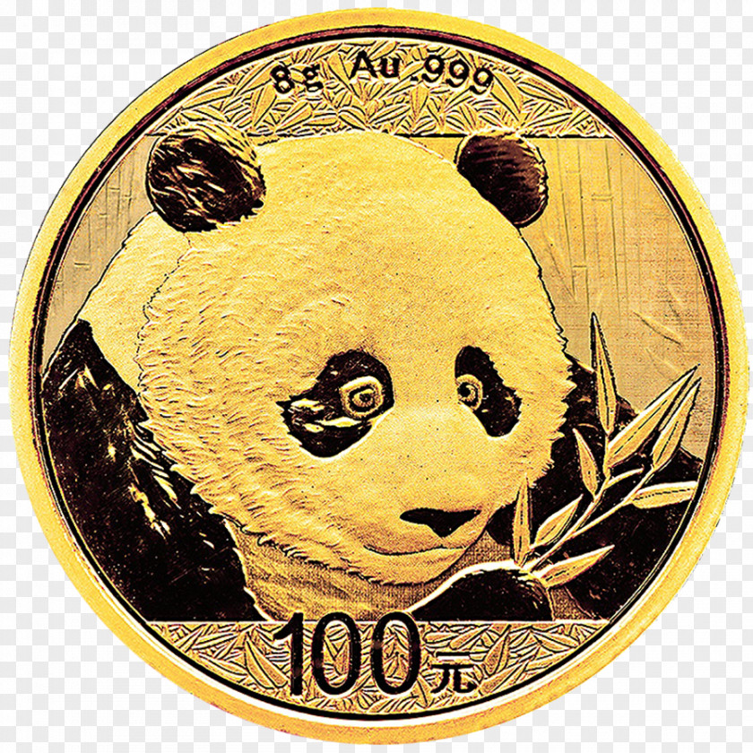 Coin Giant Panda Chinese Gold Bullion PNG