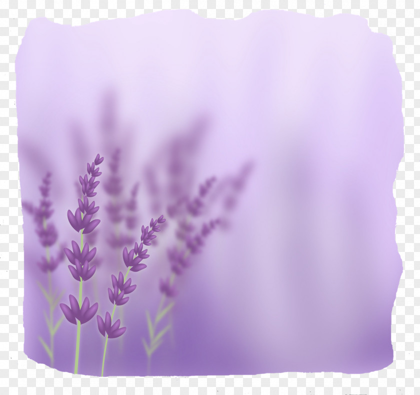 Lavender Desktop Wallpaper Stock Photography Flower PNG