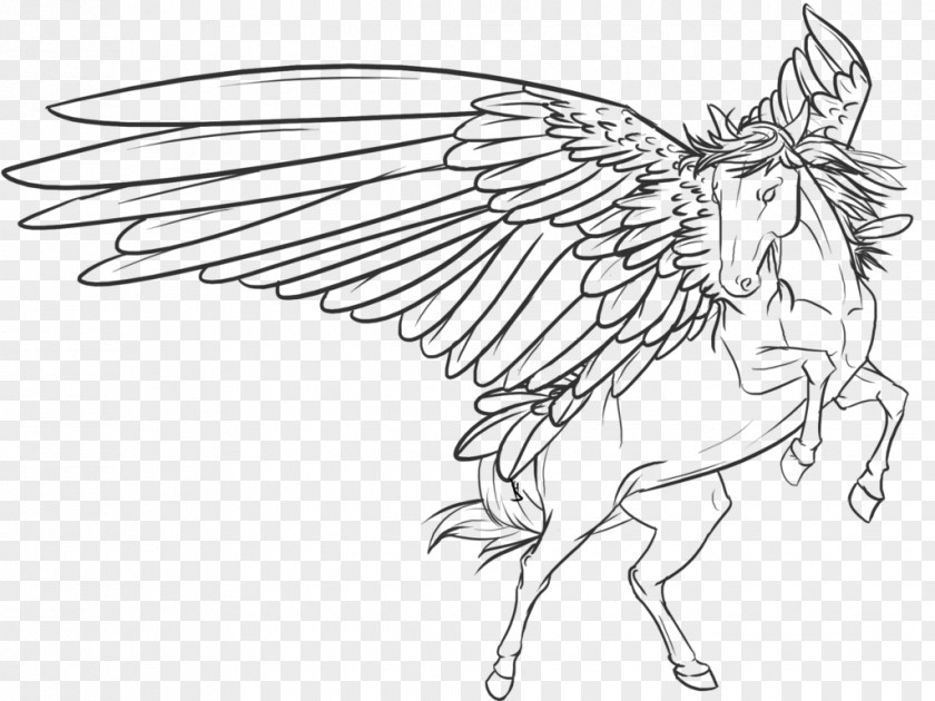 Pegasus Wing Line Art Horse Drawing Sketch PNG