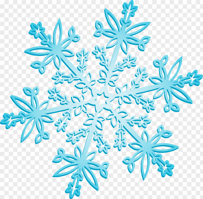 Snowflake Wedding Image PNG