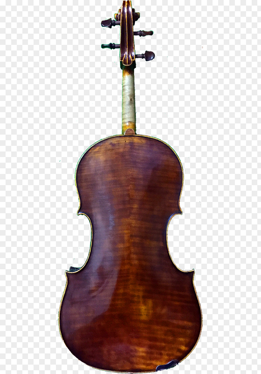 Violin Bass Viola Violone Cello PNG