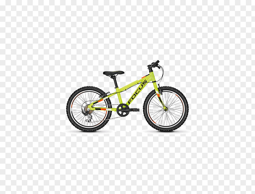 Bicycle Focus Bikes Cycling Mountain Bike Rookie PNG