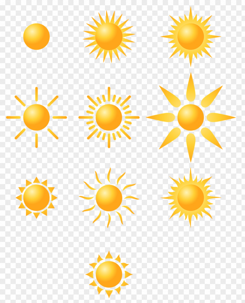 Cartoon Sun Sunlight Euclidean Vector PNG