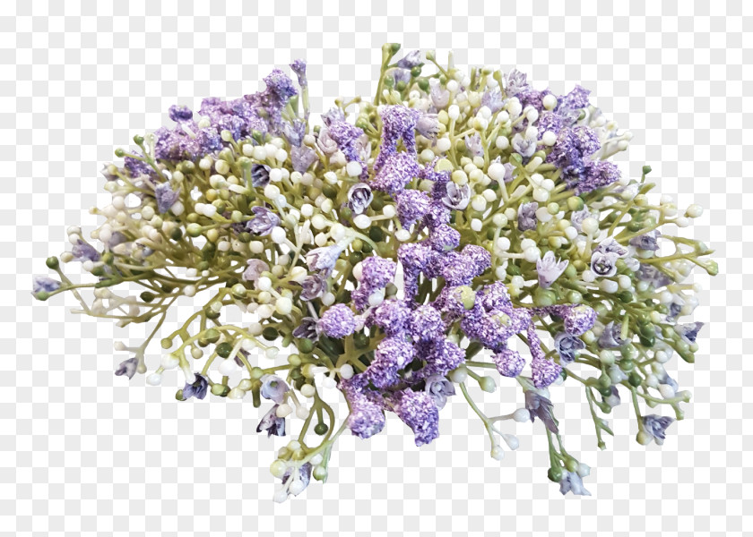 Flower English Lavender Bouquet Cut Flowers Baby's-breath PNG
