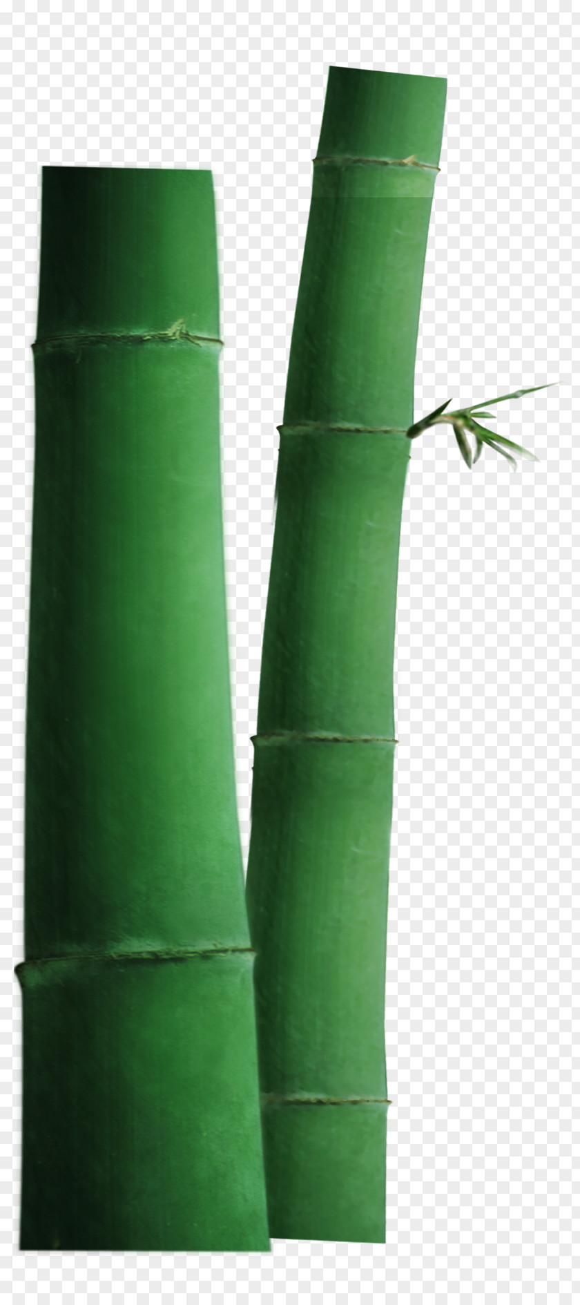Green Bamboo Icon PNG