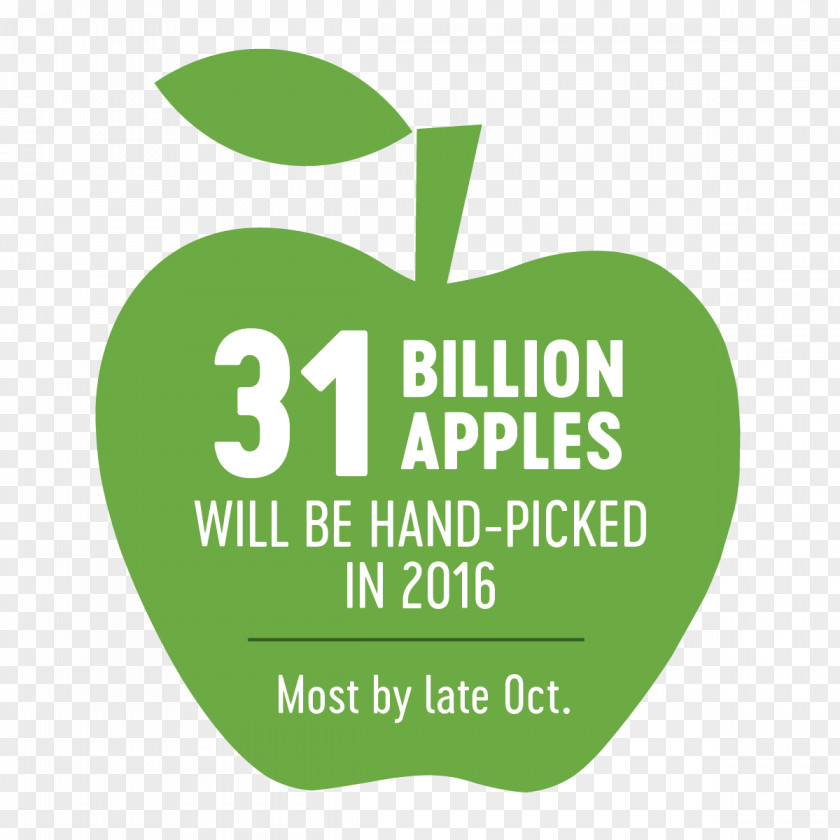 Harvest Season Logo Brand Font Green Apple PNG