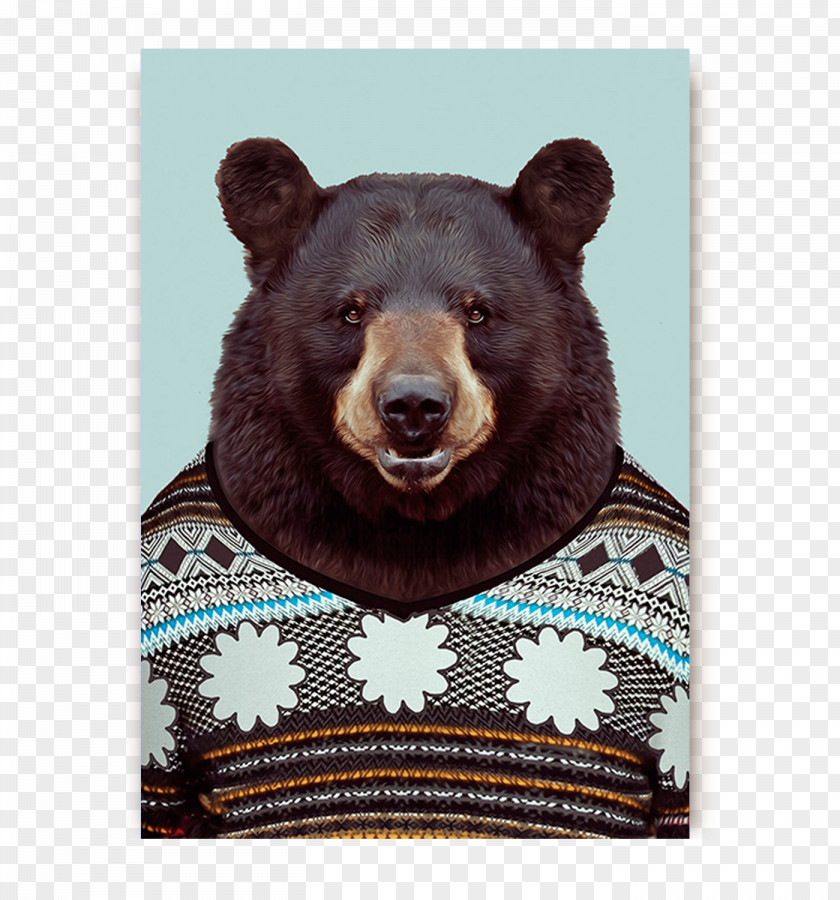 According To The Photo Zoo Portraits Bear Photography Art PNG