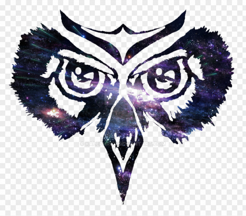 Aleph Poster Owl Drawing Animal DeviantArt Digital Art PNG