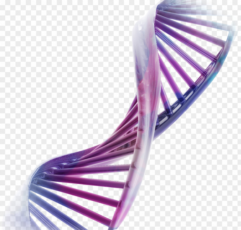 DNA Recombinant Desktop Wallpaper Genetics Chromosome PNG