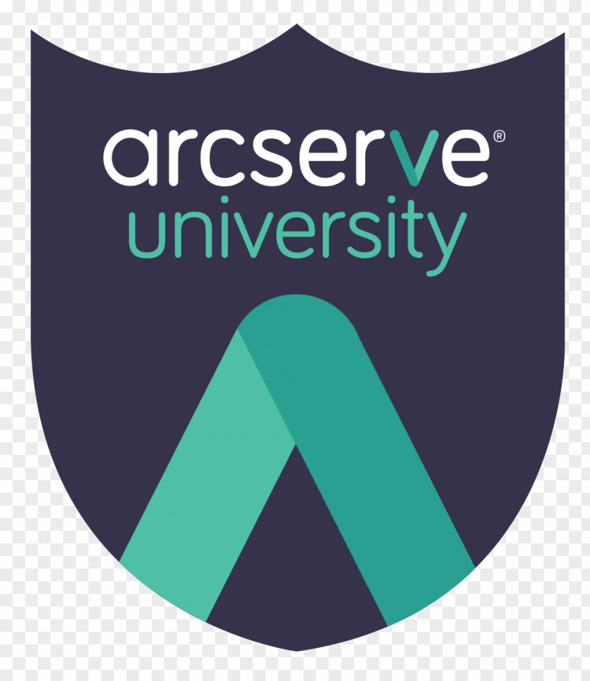 Volleyball Serve Trainer Arcserve Education Logo University Product PNG