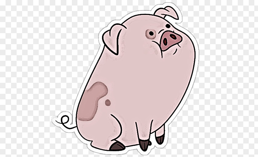 Cartoon Pink Snout Walrus PNG