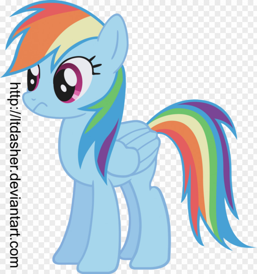 Confused Vector My Little Pony Rainbow Dash Illustration Drawing PNG