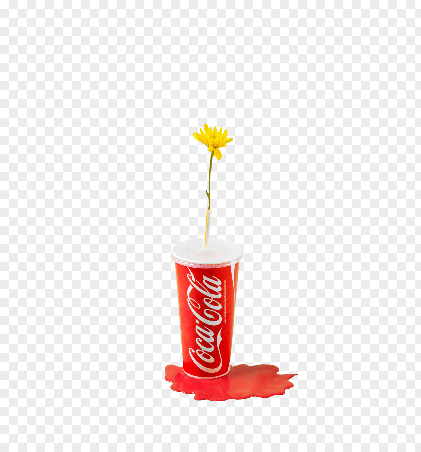Floral Coke Bottle Coca-Cola Creativity PNG