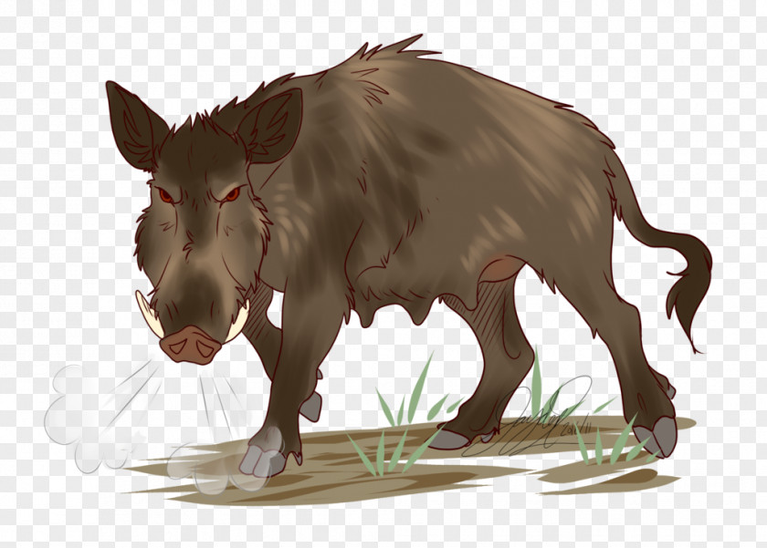 Wild Boar Pig Cattle Snout Wildlife Mammal PNG