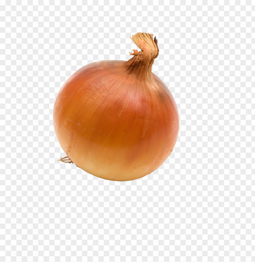 An Onion Yellow Shallot Calabaza Vegetarian Cuisine PNG