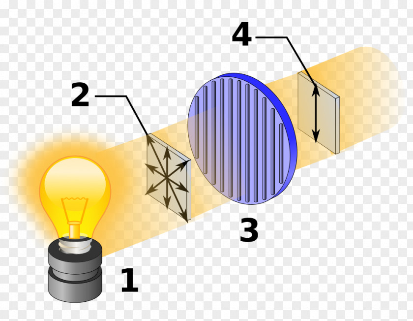 Bulbs Polarized Light Polarimeter Optical Rotation Density Matrix PNG