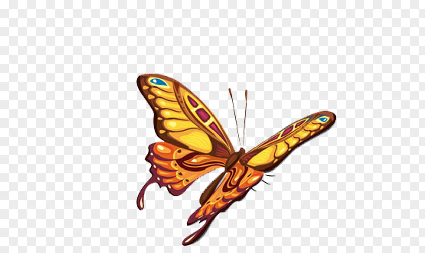 Butterfly Monarch Abziehtattoo Body Art PNG