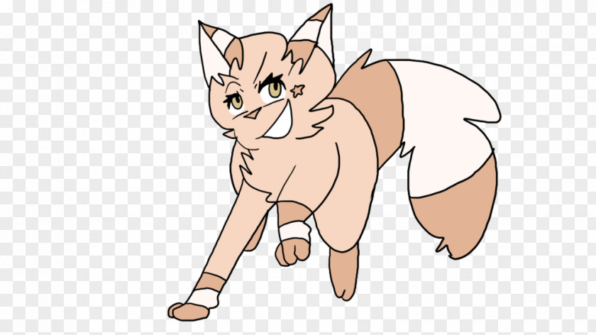 Cat Whiskers Drawing Red Fox Gray Wolf PNG